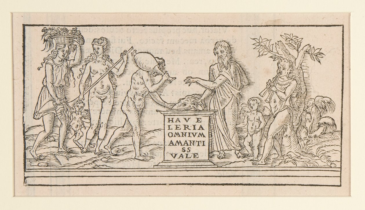 Page from Copy after Francesco Colonna by Unknown