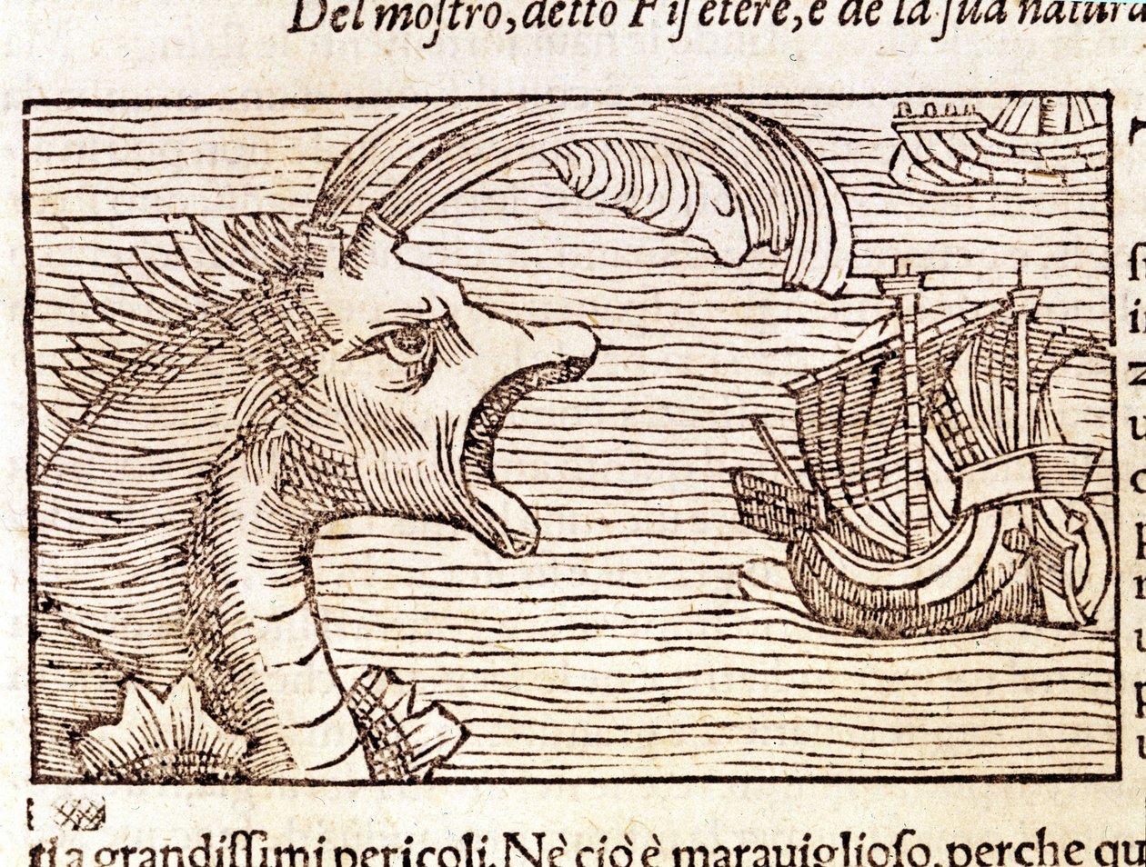 A sperm whale (?) (physeter) attacks a ship. Engraving by Olaus Magnus (1490 - 1557), Swedish religious and geographer, 