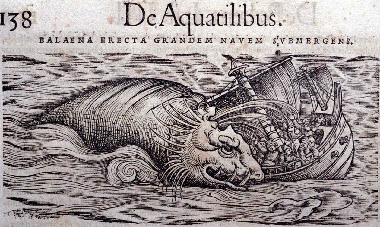 A whale destroys a boat
