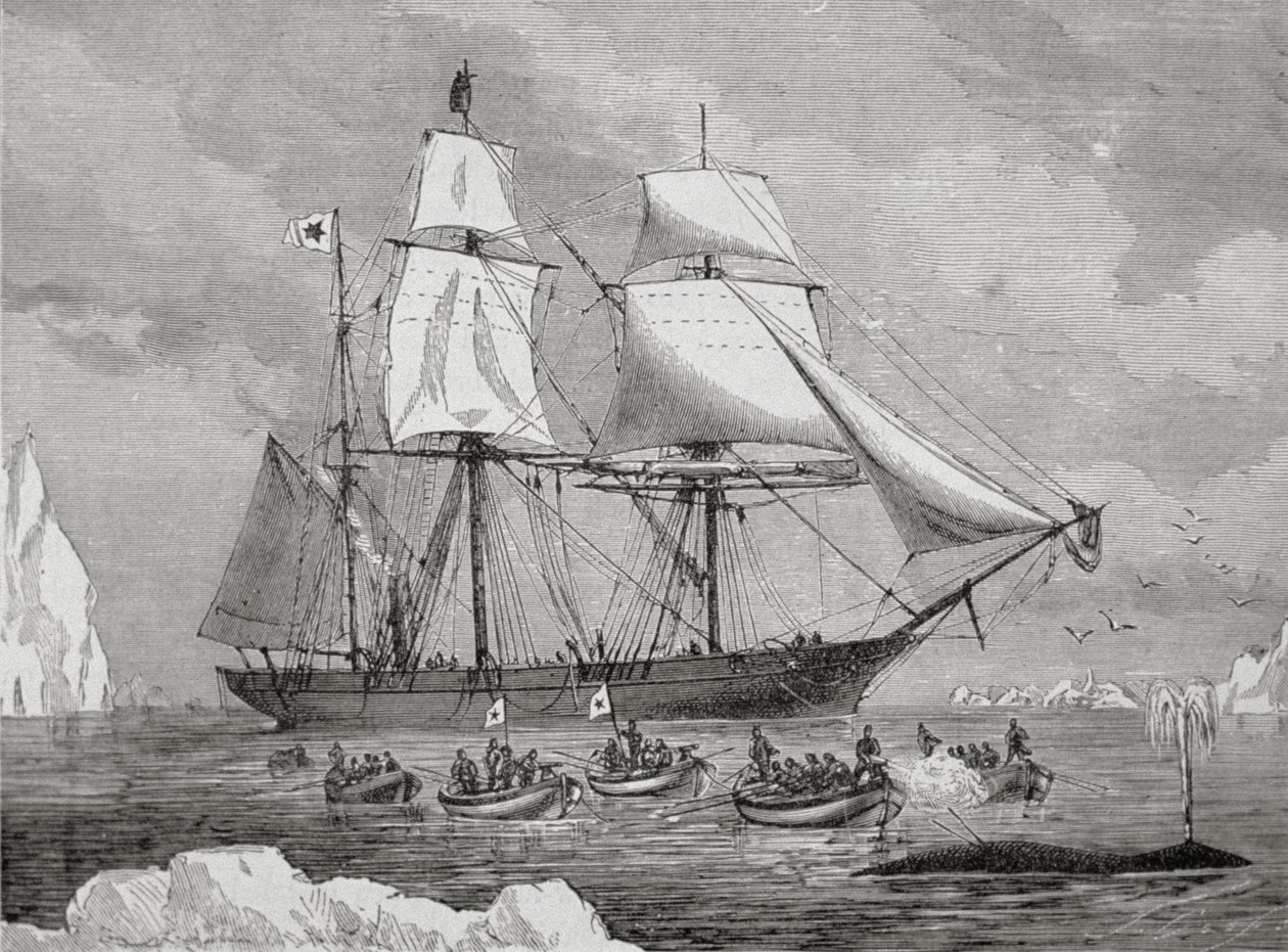 A Whaler with Boat Fast to a 