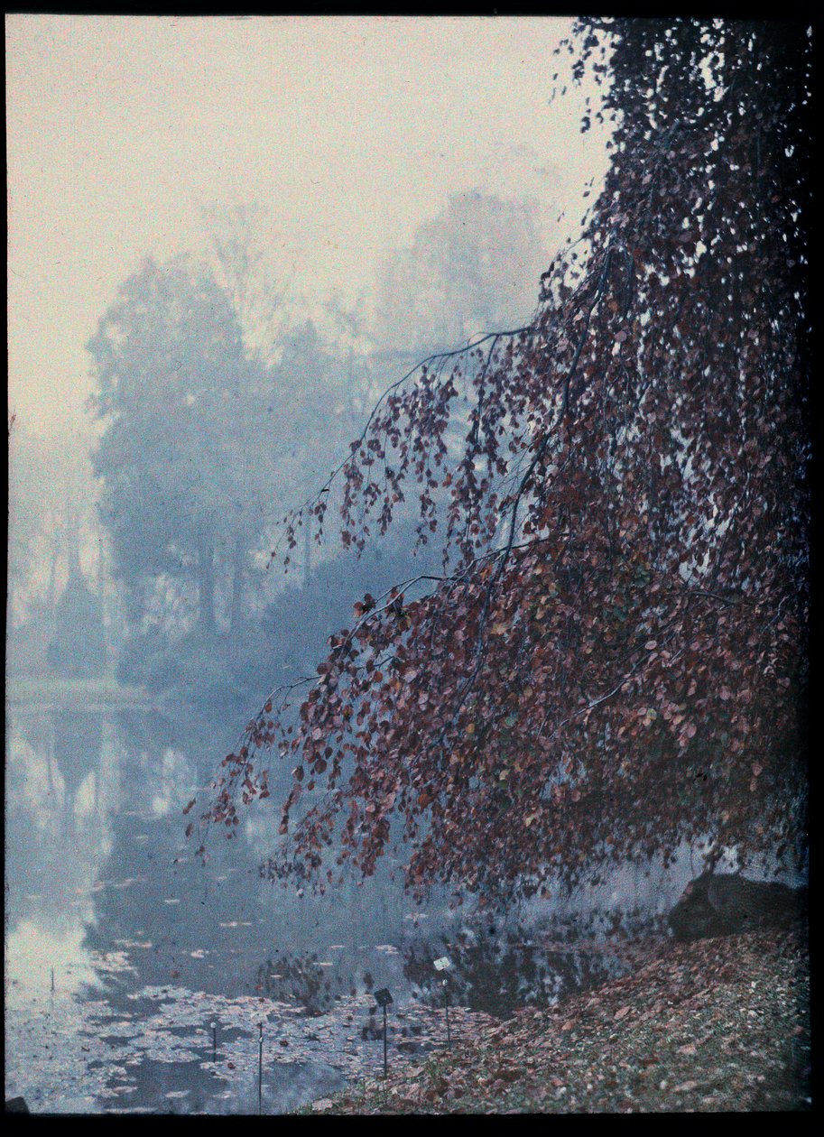 Autumn Landscape, Lake and red tree in the fog - circa 1920 by Unknown Artist