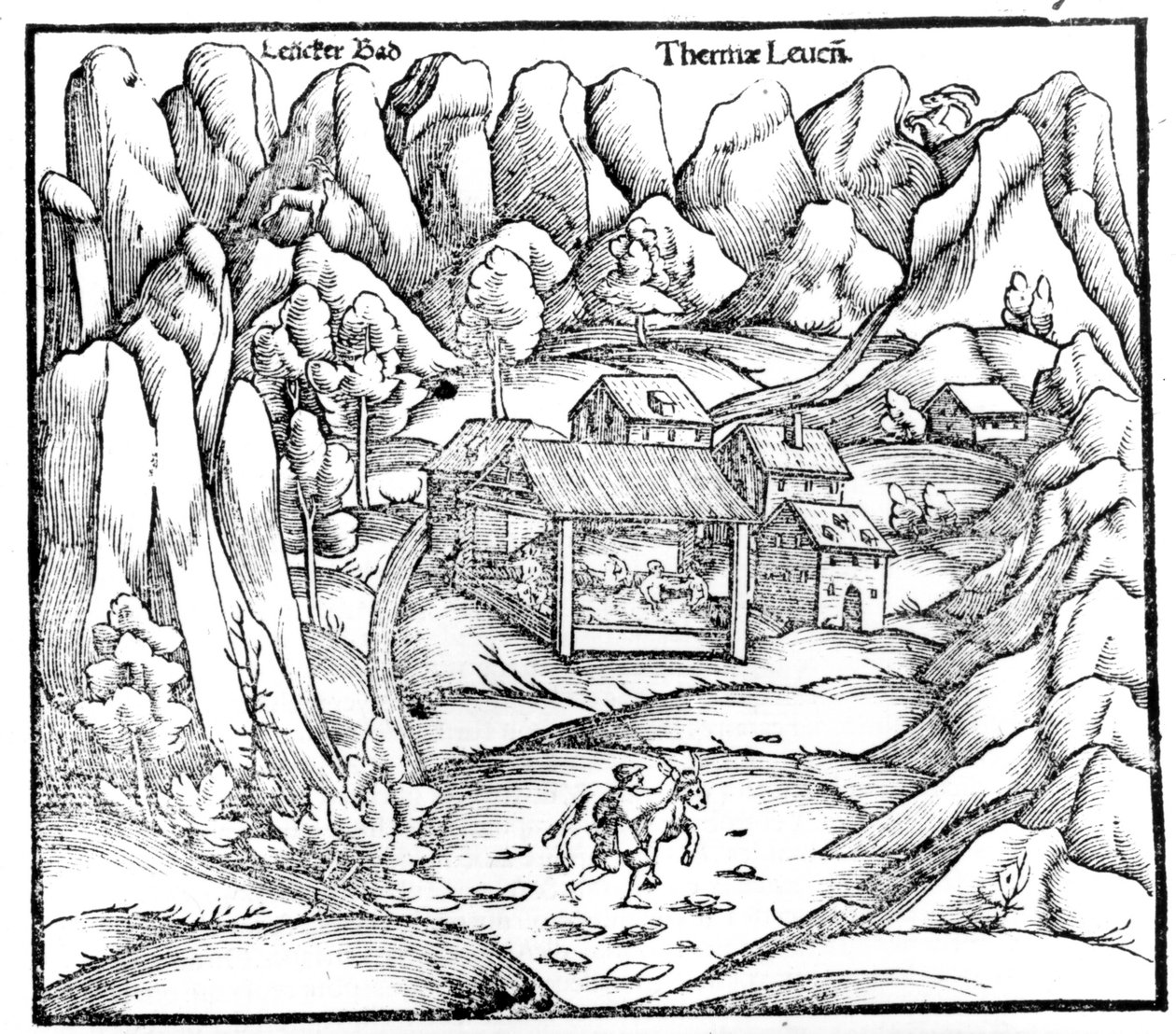 Baths of Baden (Austria), engraving 16th century by Unknown artist