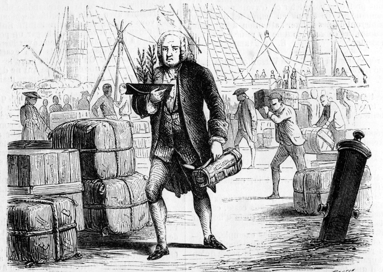 Bernard de Jussieu (1699-1777), French botanist and naturalist, reporting cedar from Lebanon by Unknown artist
