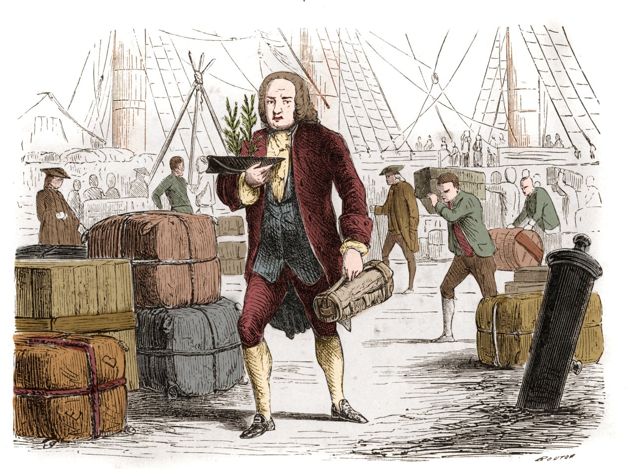 Bernard de Jussieu (1699-1777), French botanist bringing two cedars from Lebanon from England in 1734. Engraving from 1861. by Unknown artist