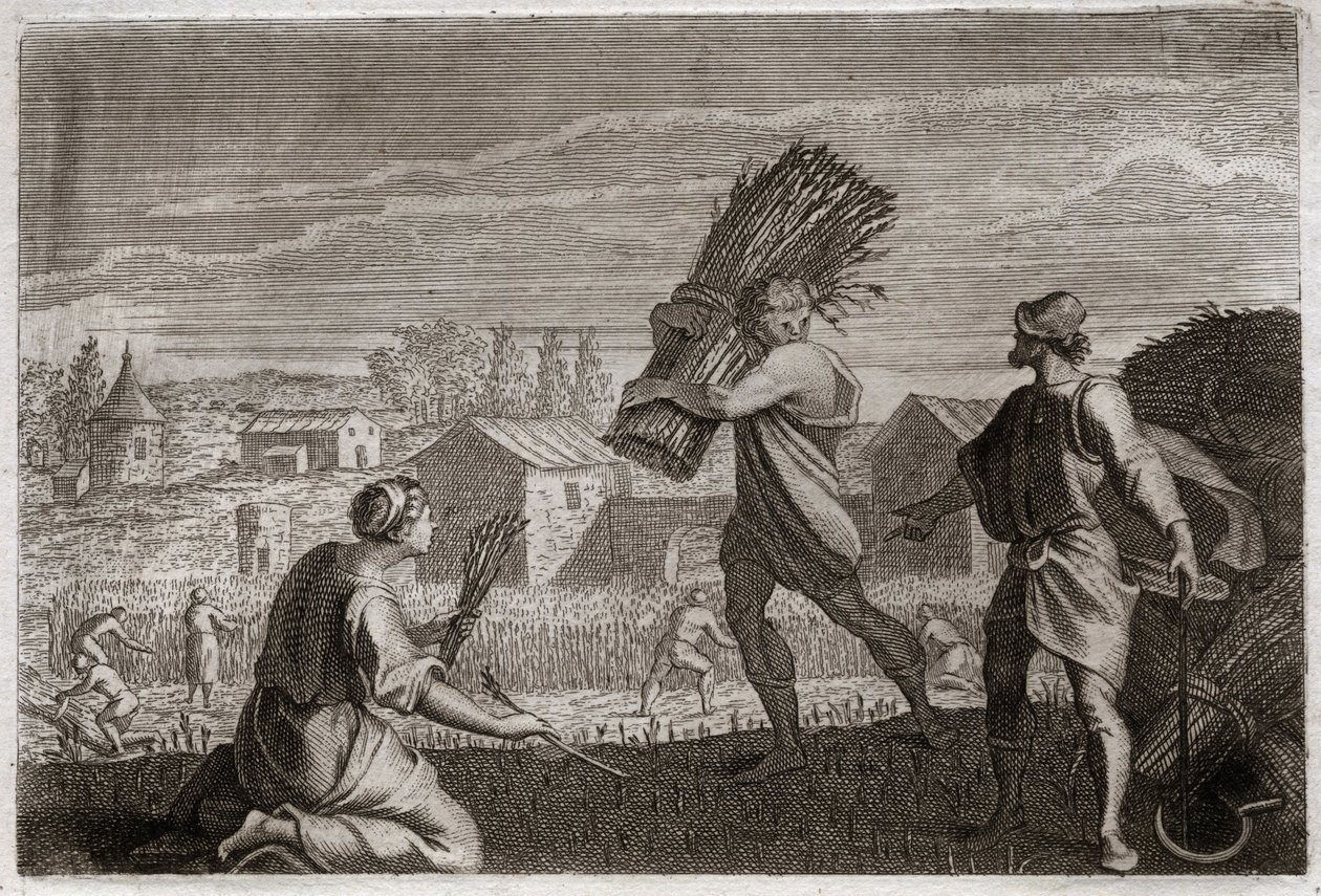 Bible of Royaumont, Old Testament: Ruth follows her mother-in-law Naomi in the land of Judah and reaps the wheat fields of Boaz. Illustration from 1811. by Unknown artist