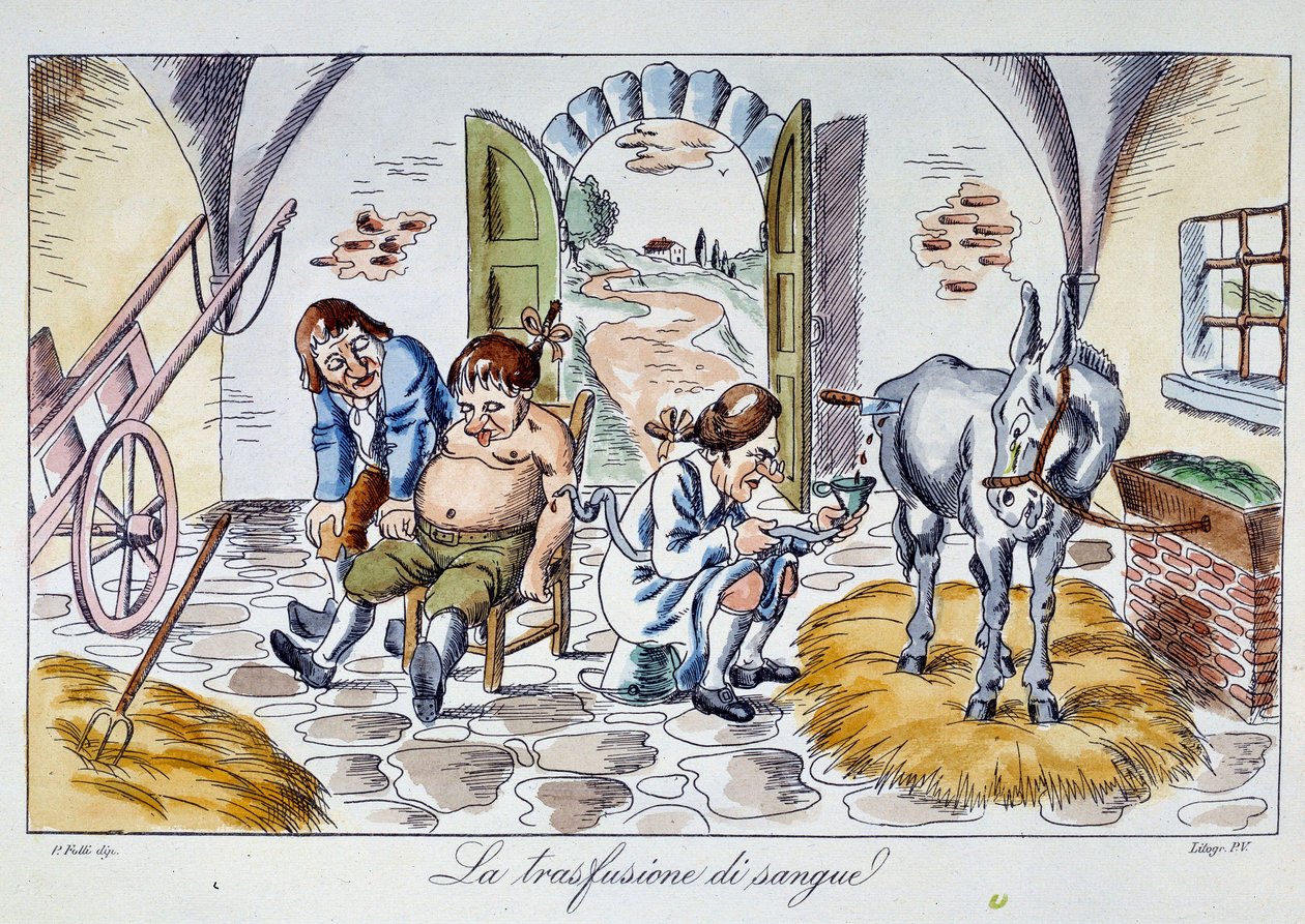 Blood Transfusion: A Doctor Injects Horse Blood into a Patient. Cartoon from the 19th Century by Unknown artist