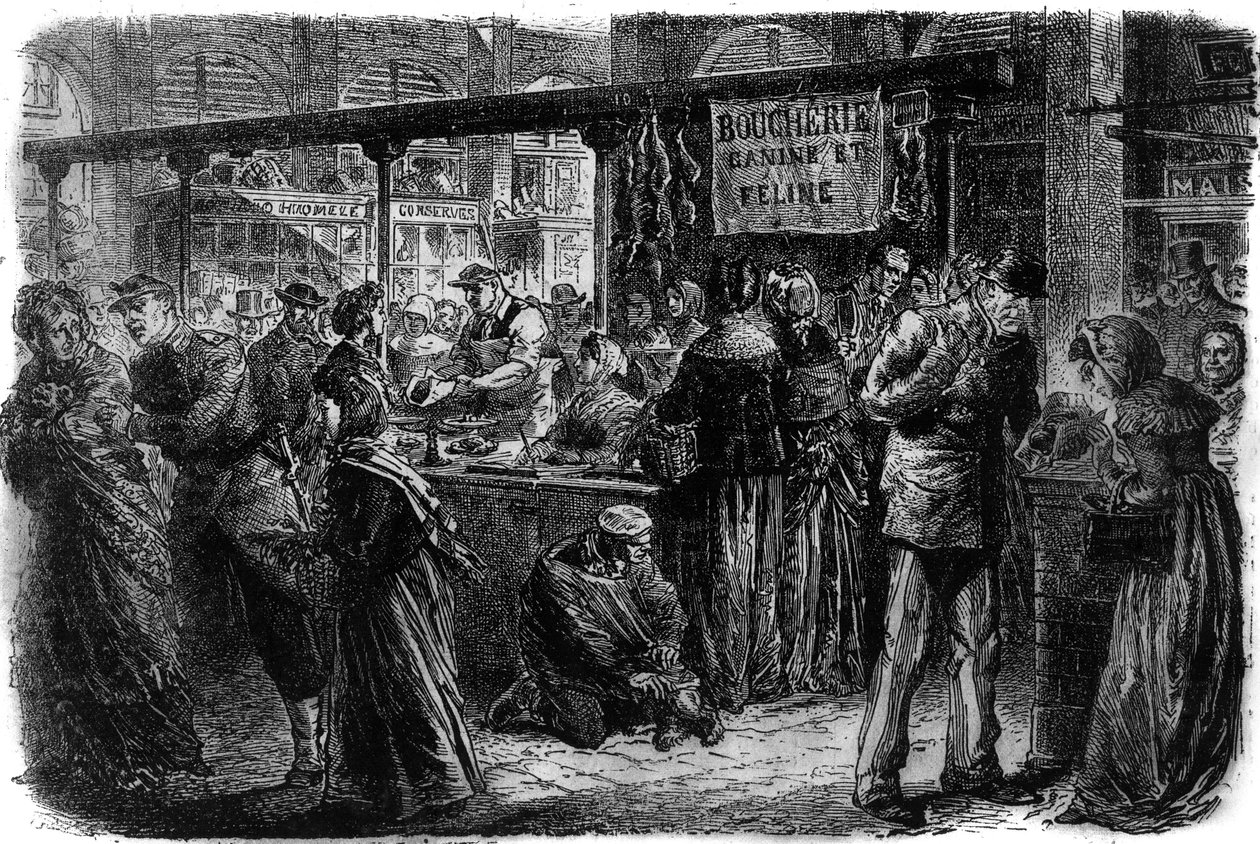 Butchery canine and feline in Paris in 1870 by Unknown artist