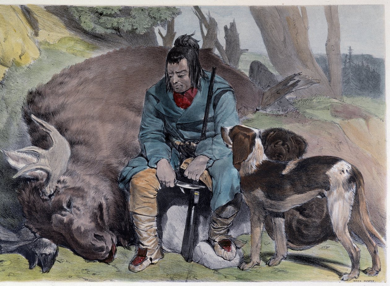 Canadian Huron Elk Hunt - in “Shyth