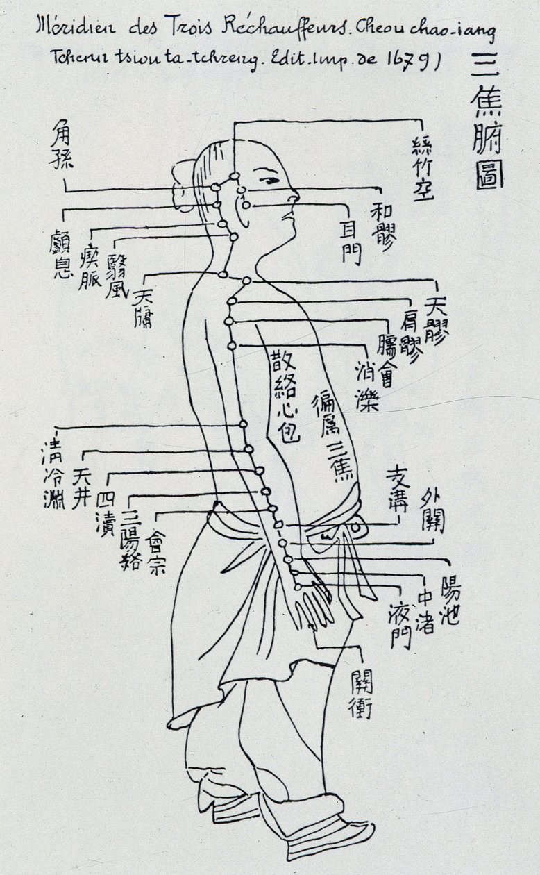 Chinese Acupuncture: The Meridian of the Three Heaters by Unknown artist