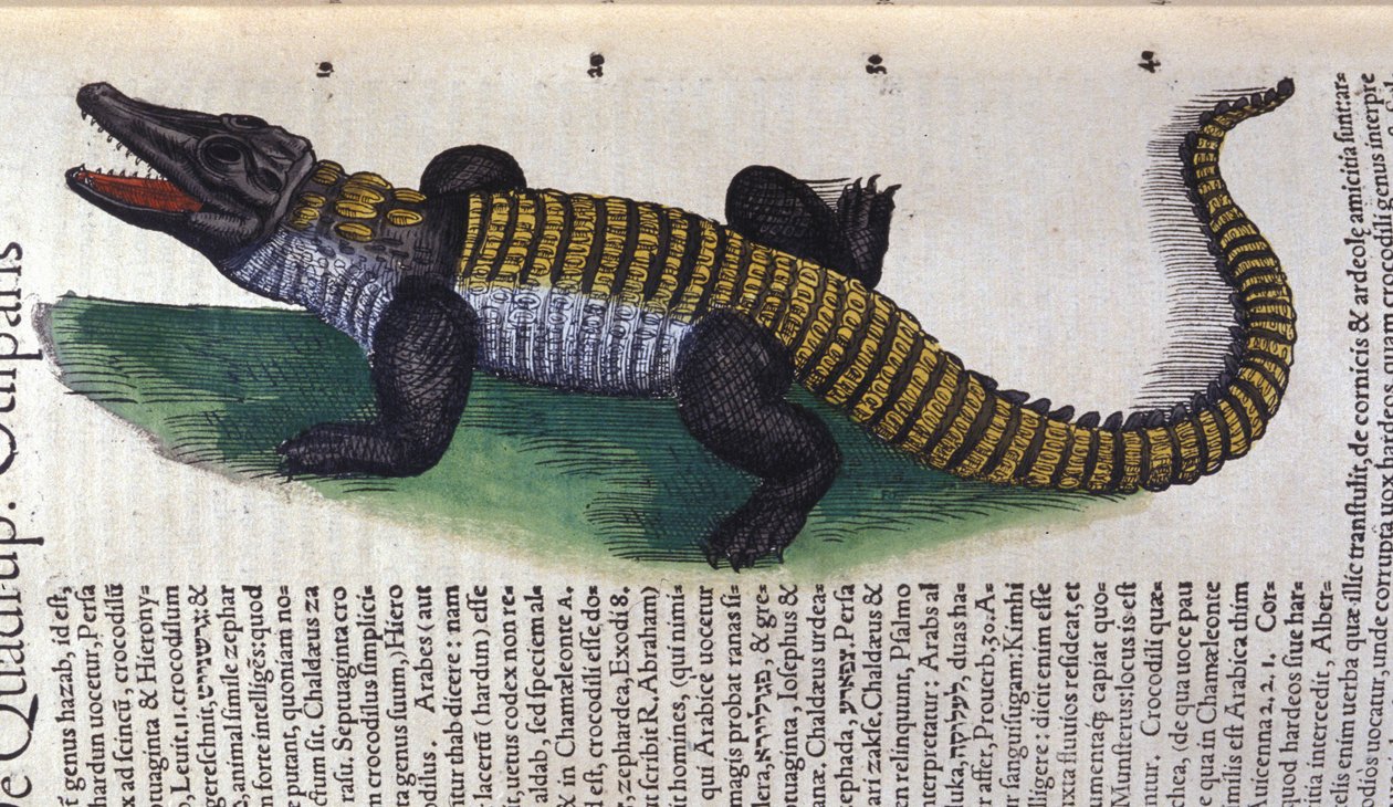 Crocodile. in Historia Animalium by Conrad Gesner (1516 - 1565), Tiguri by Unknown artist