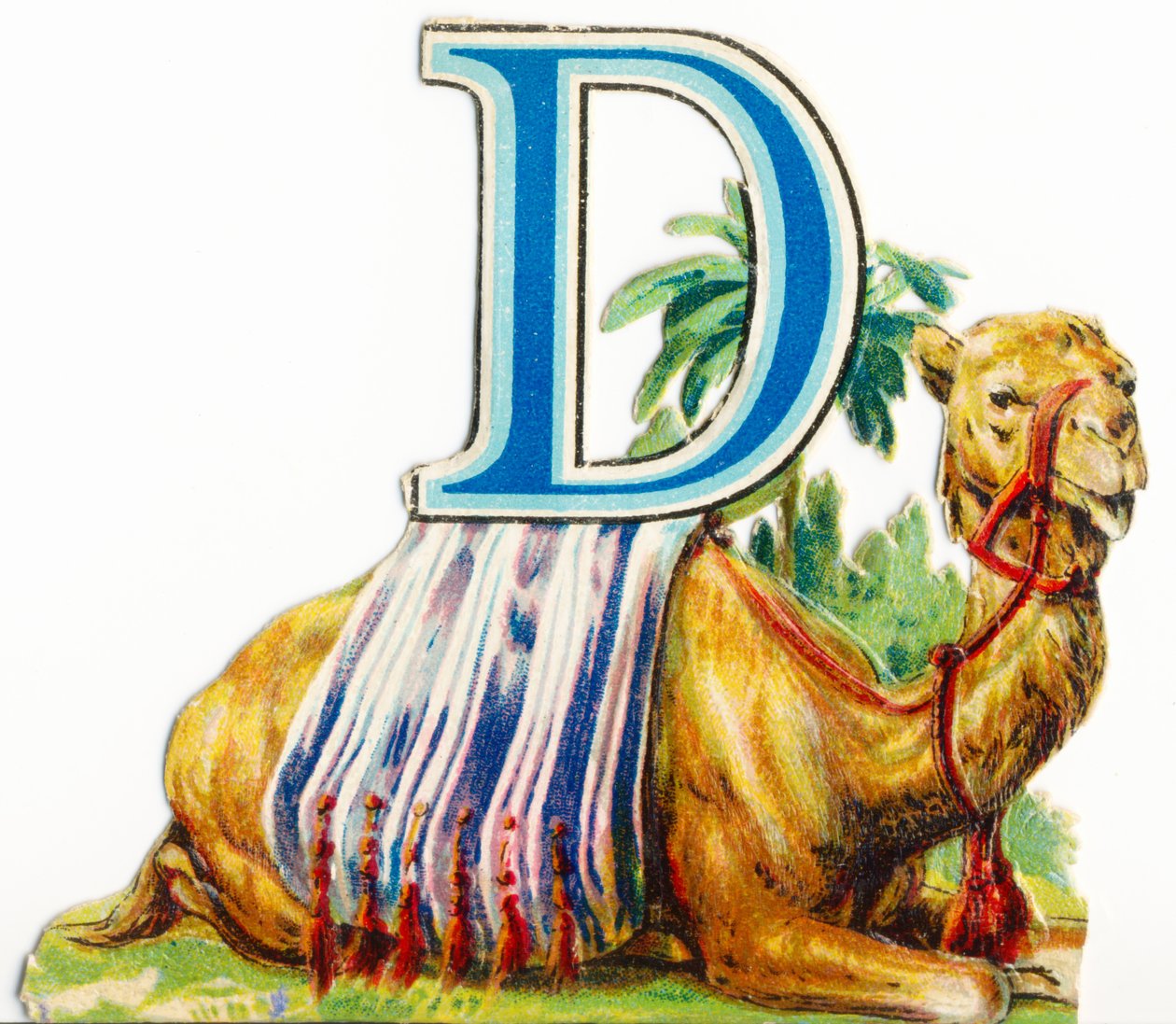 Dromedary by Unknown artist