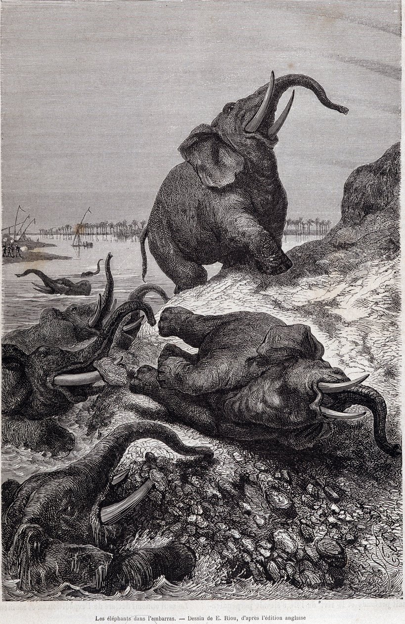 Elephants climbing the bank of a river, in account of an expedition to Central Africa commissioned by Sir Samuel White Baker, “Tour du monde” by Unknown artist