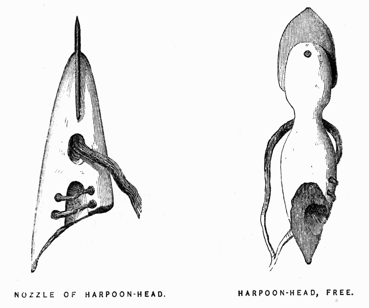 Eskimo Harpoons - Elisha Kent Kane, Arctic Exploration in Years 1853-1855, Philadelphia, Childs and Peterson by Unknown artist