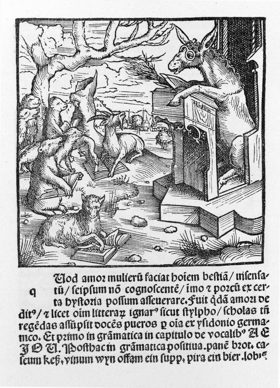 German Incunable Depicting a Donkey Teaching a Class of Forest Animals, 1490 by Unknown artist