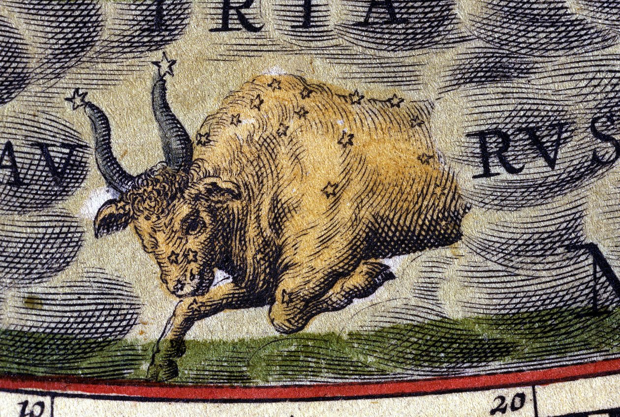Horoscope: sign of the zodiac, Taurus. by Unknown artist