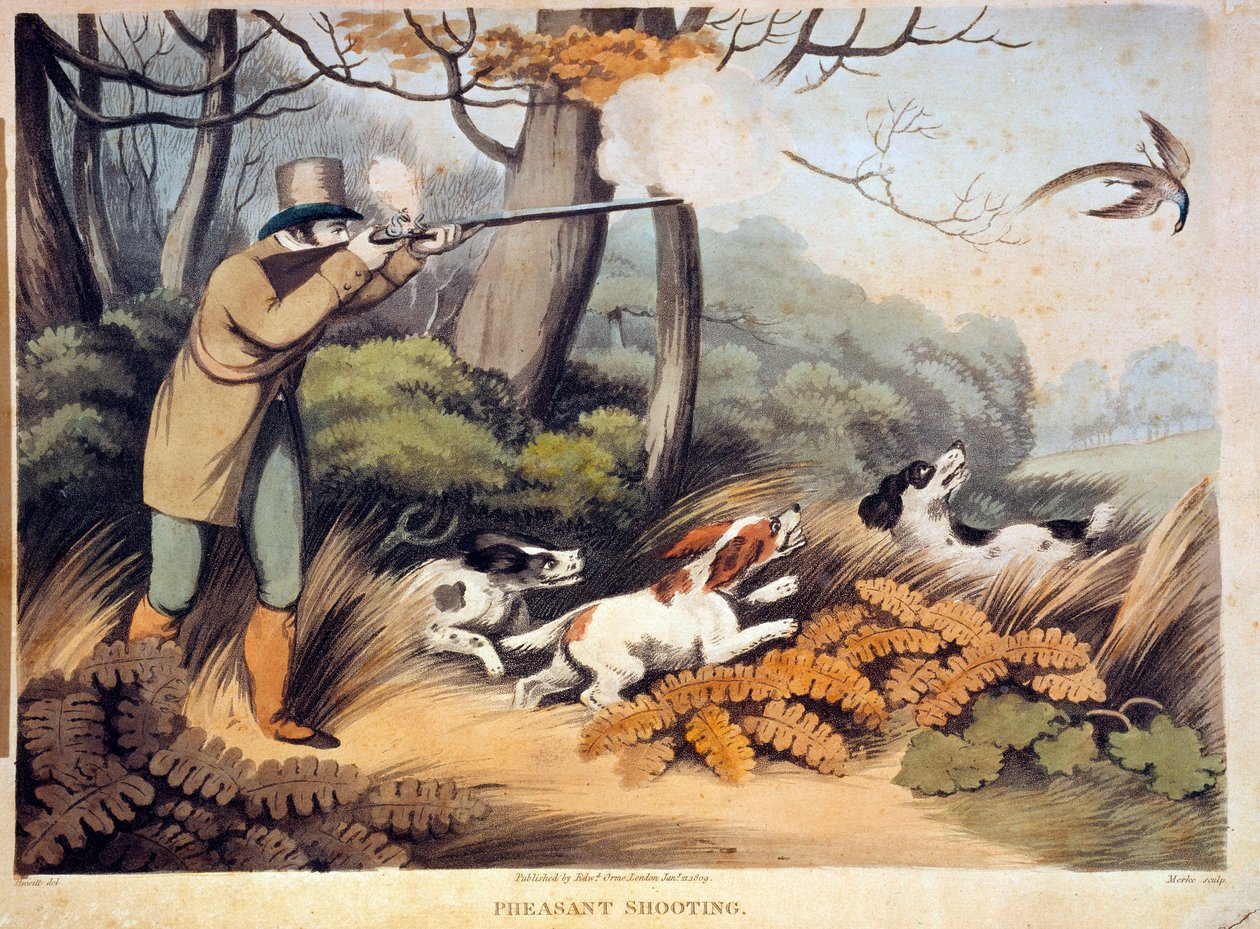 Hunting for Pheasants in England by Unknown artist