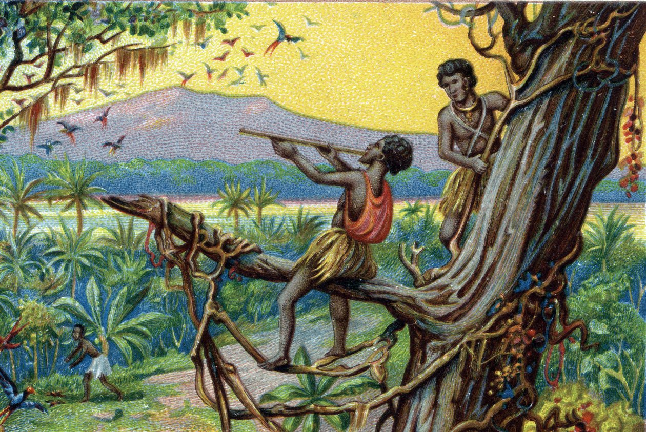 Hunting technique. Hunting hummingbirds in the Polynesian archipelago: the inhabitants use bites. Chromolithograph of the 19th century by Unknown artist