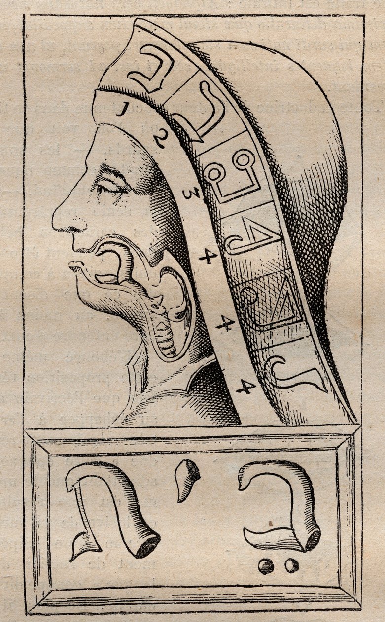 Illustration from Alphabeti vere naturalis Hebraici brevissima delineatio (The Alphabet of Nature) by Franciscus Mercurius van Helmont by Unknown artist