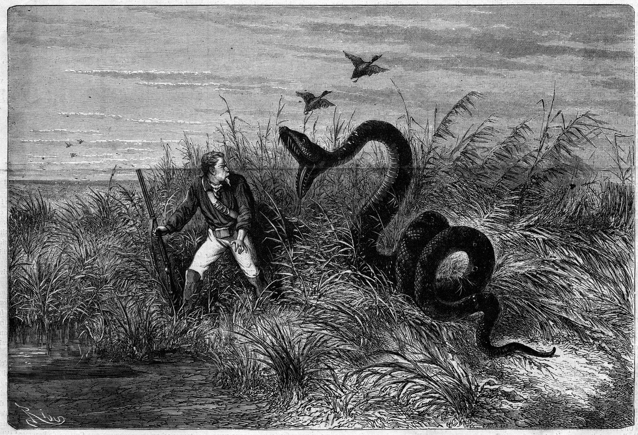 Incident in the savannah of a duck hunt. Excerpt from 