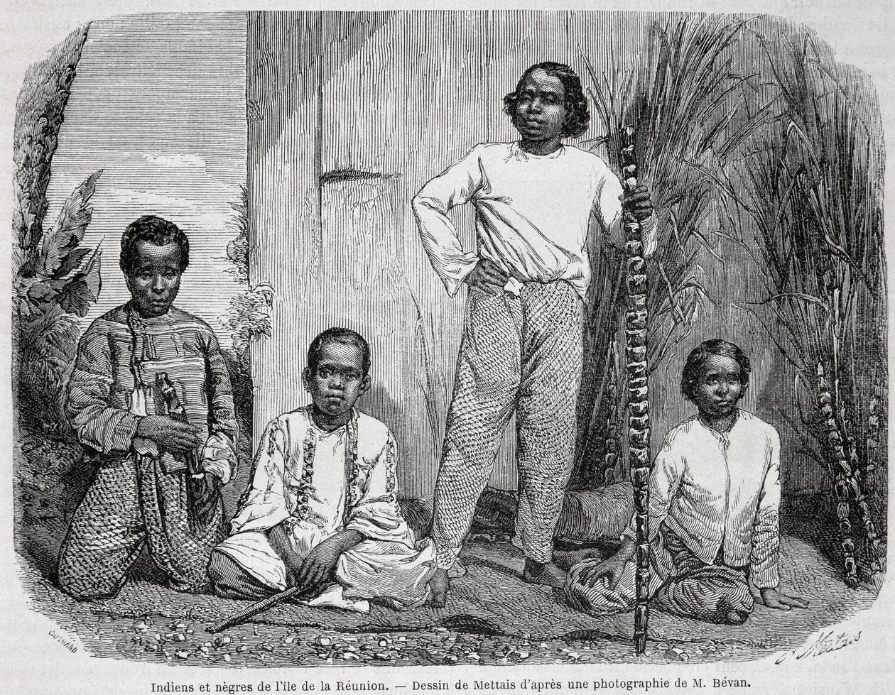 Indians and Negroes of Reunion Island - in 