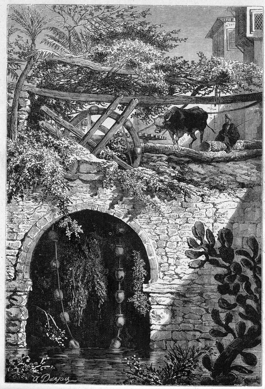 Irrigation in Egypt: An Ox Rotates a Wheel with Buckets. Engraving in 