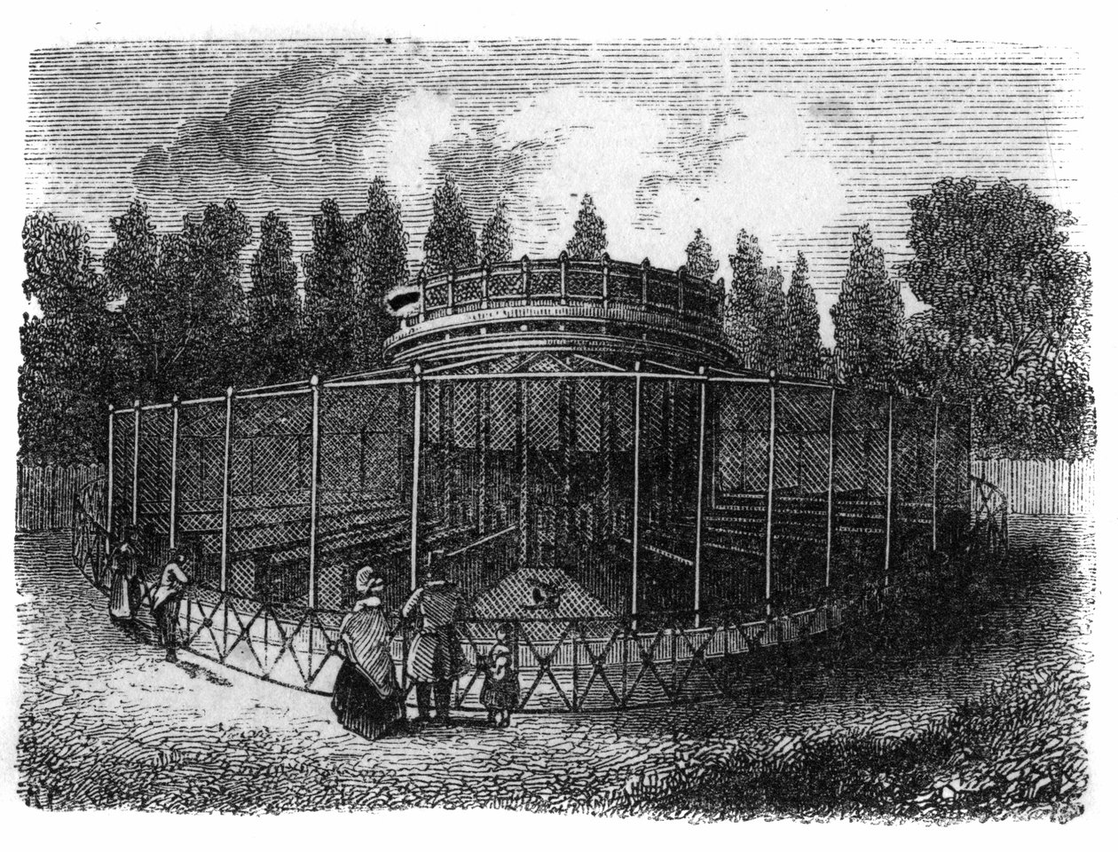 Jardin des Plantes in Paris in 1861: pheasanderie by Unknown artist