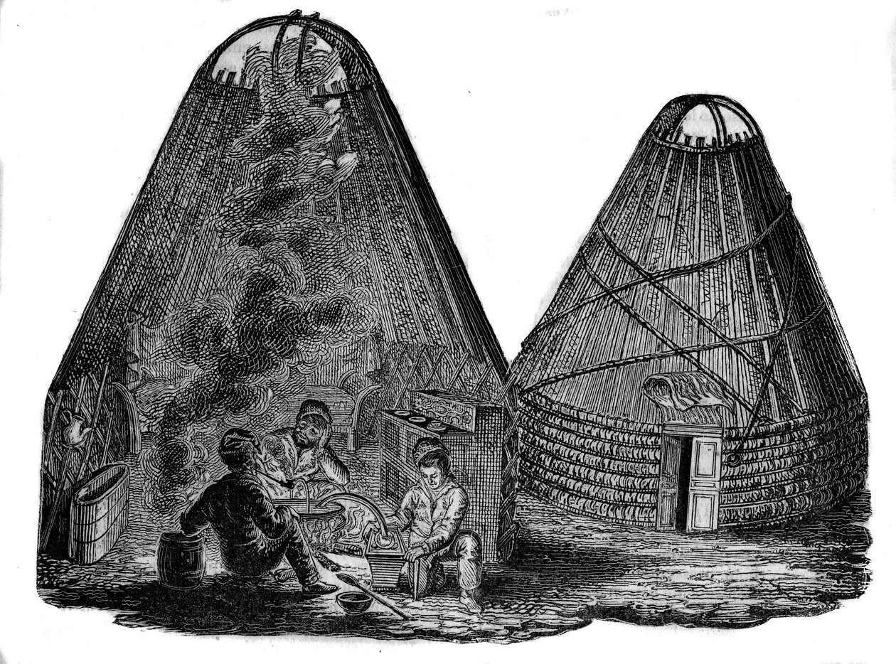 Kalmouks (Western Mongols) in front of their tent by Unknown artist