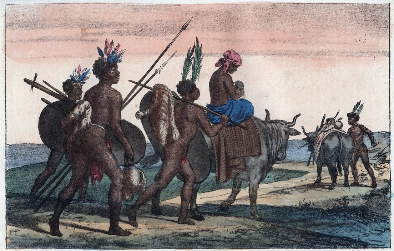 Korah Hottentots of the Cape on the Move - Engraving from 