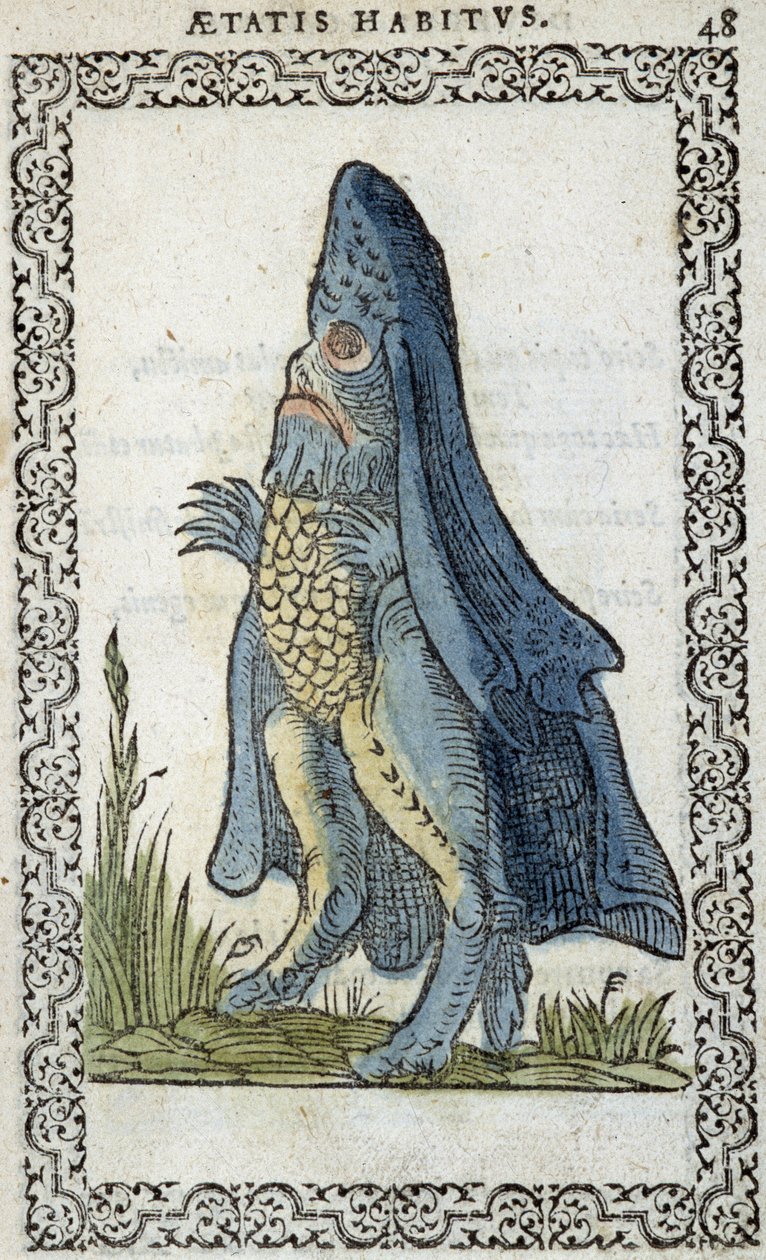 The Sea Enesque - in “Habits et effigies” by Jean Sluperius by Unknown artist