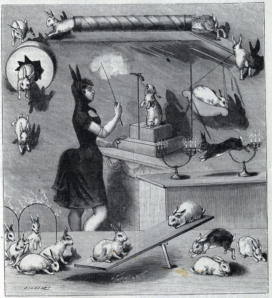 The dressed rabbits of the Nouveau Cirque in Paris: tamer in rabbit costume teaching the different numbers to the animal. Engraving in 