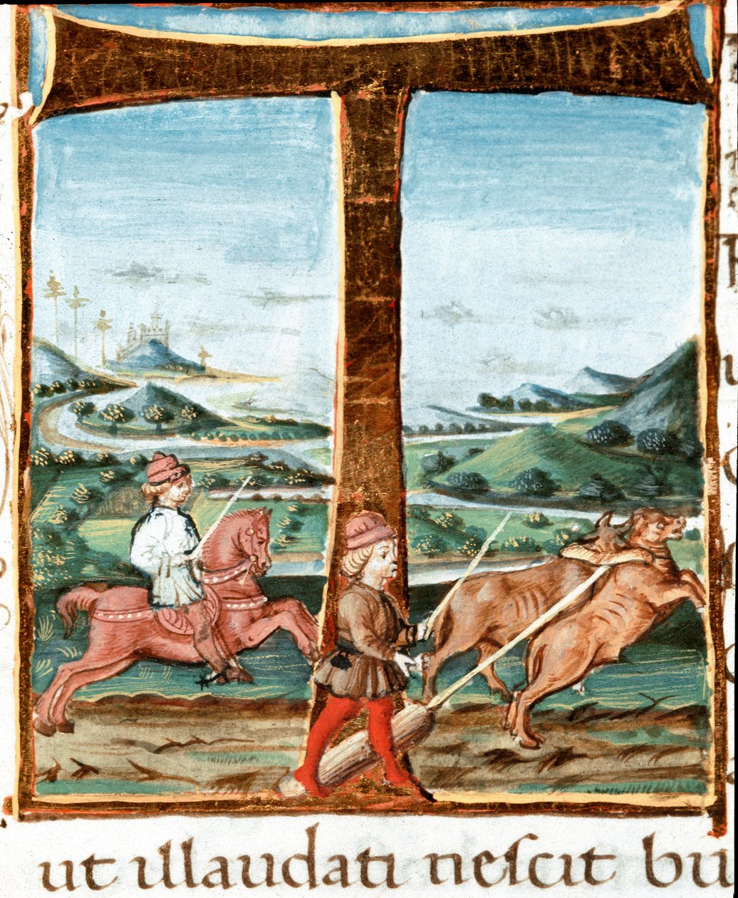 Lettrine T decorated with a rider and a trainer of oxen - Miniature from 