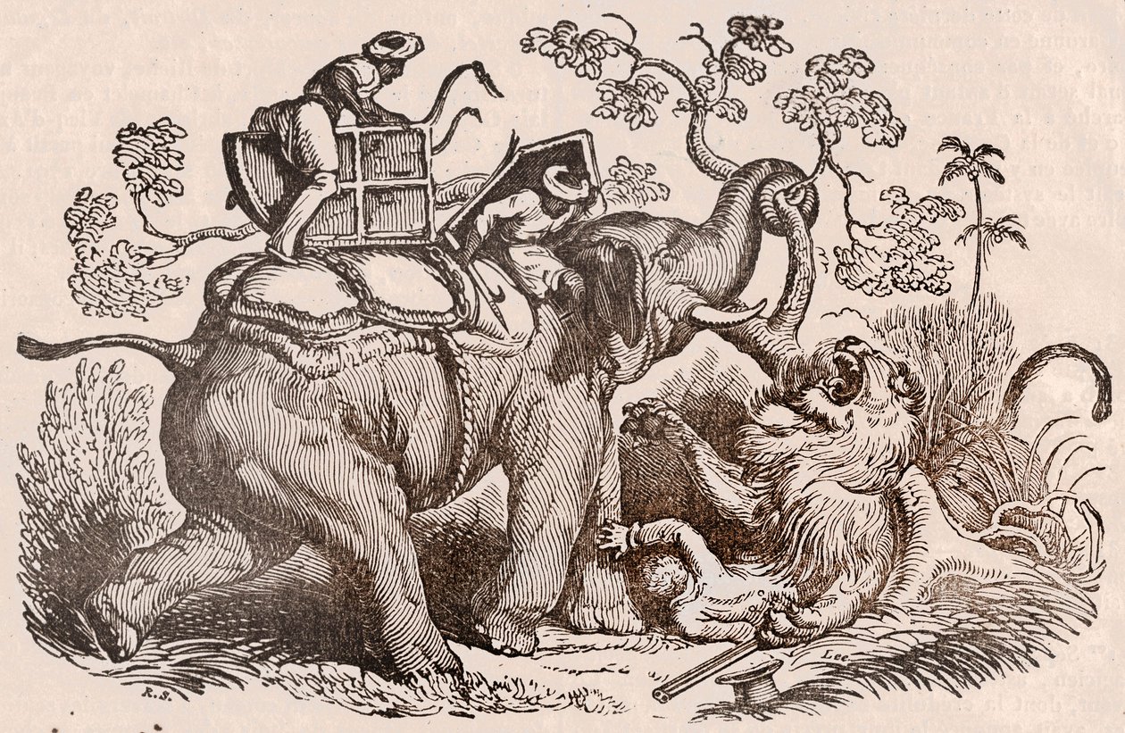 Lion Hunting Scene: The Hunter, Tomb of the Elephant, is Now in the Claws of the Lion by Unknown artist