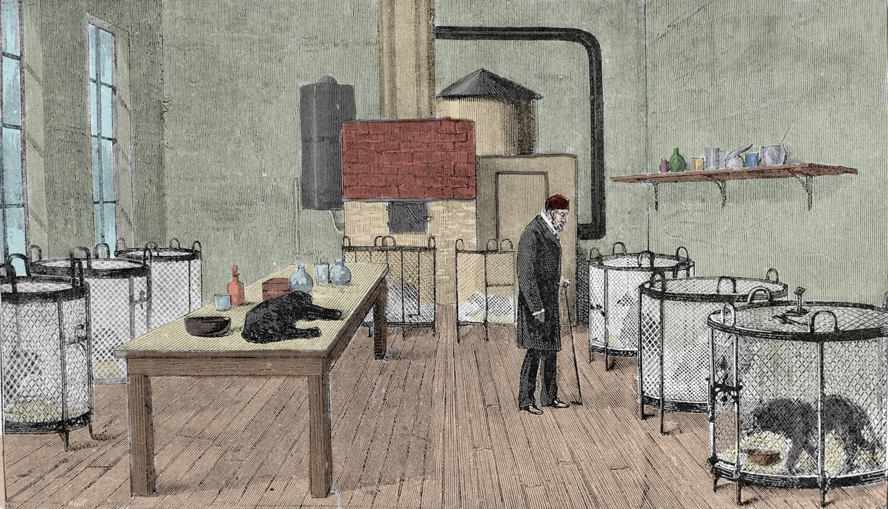 Louis Pasteur (1822-1895), French Chemist and Physicist in His Laboratory in Paris by Unknown artist