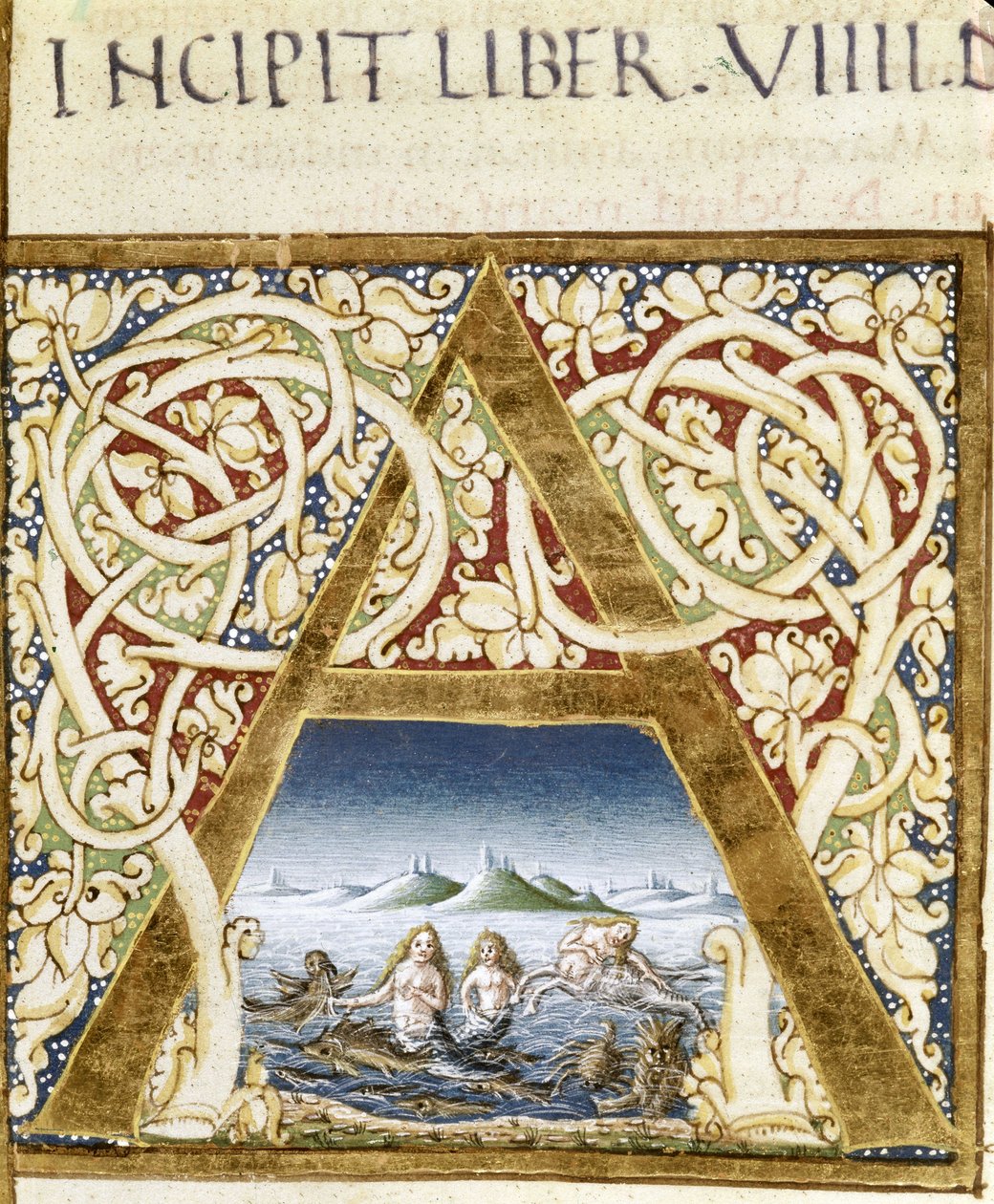 Miniatur, die Sirenen darstellt. Lettrine „A“ - in „Naturalis Historiae“ von Plinius dem Älteren (23 - 79), ed. 1480. Victoria & Albert Library von Unknown artist