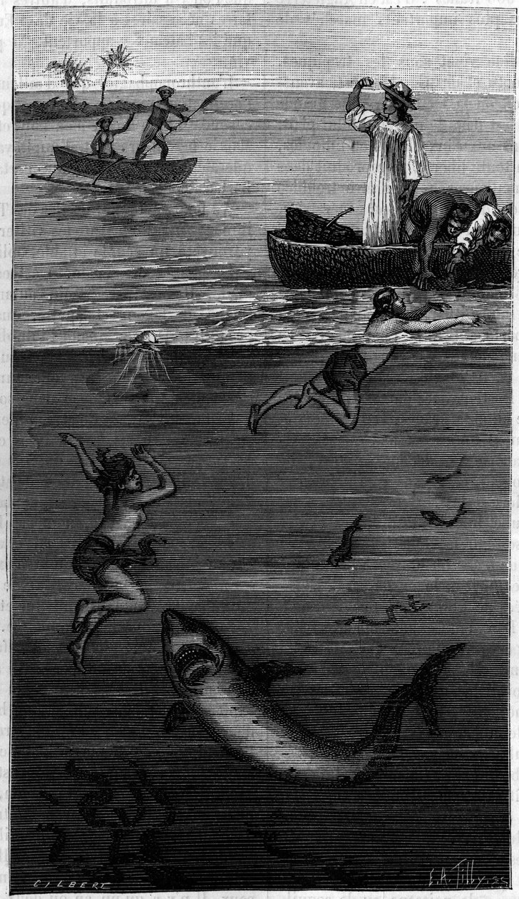 Mother of Pearl Culture in Tahiti: A Mother of Pearl Harvester Attacked by a Shark by Unknown artist