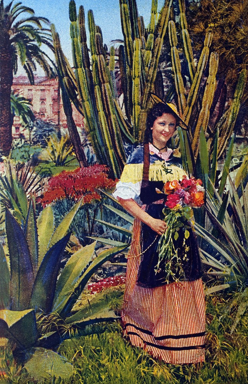 Nicoise. Postcard Around 1930 by Unknown Artist