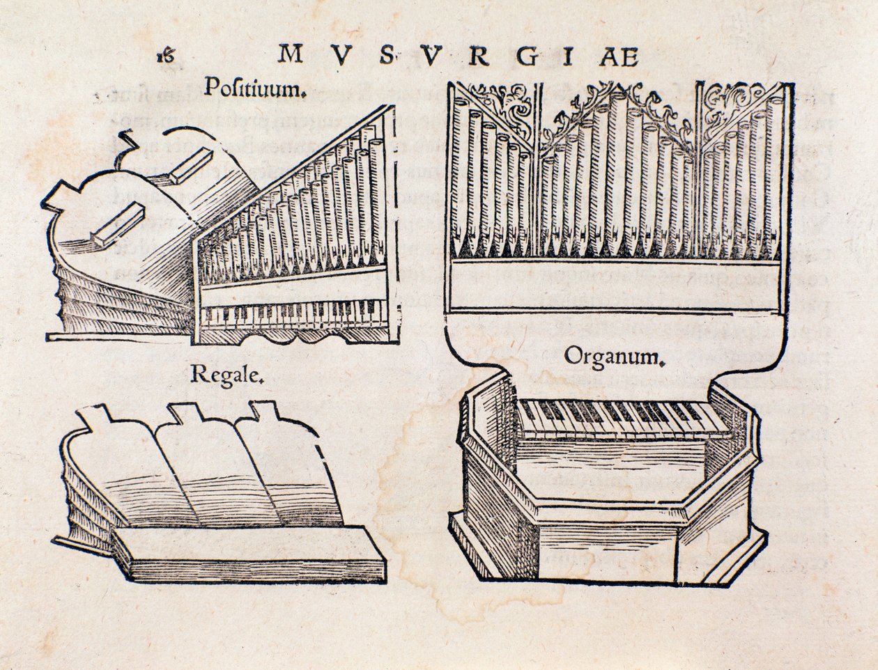 Organ representation from Musurgia practical manual of music by Unknown artist
