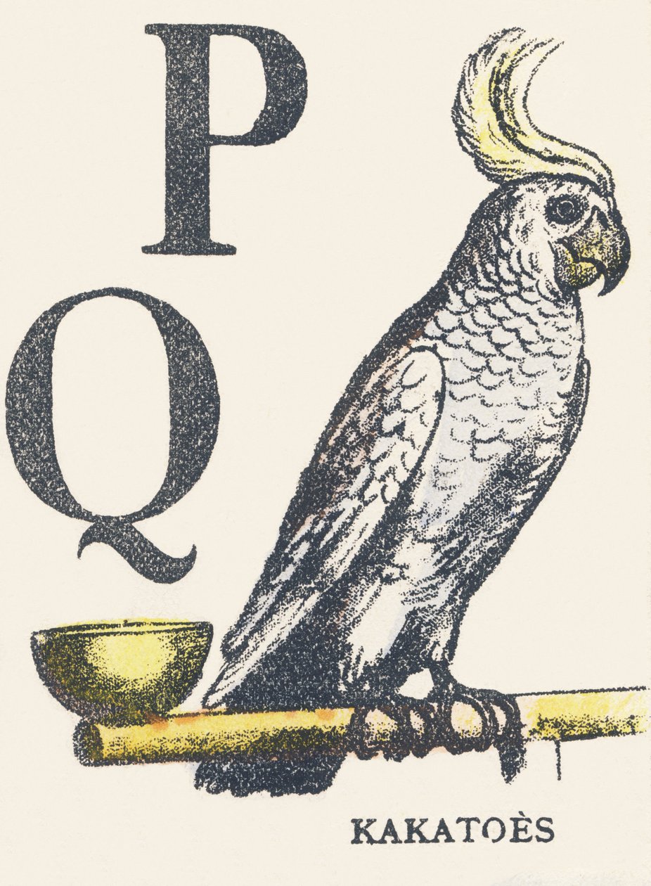 P Q: Cockatoos by Unknown artist