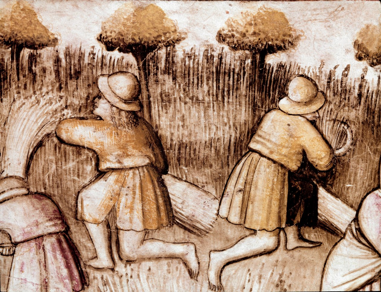 Peasants mowing wheat by Unknown artist