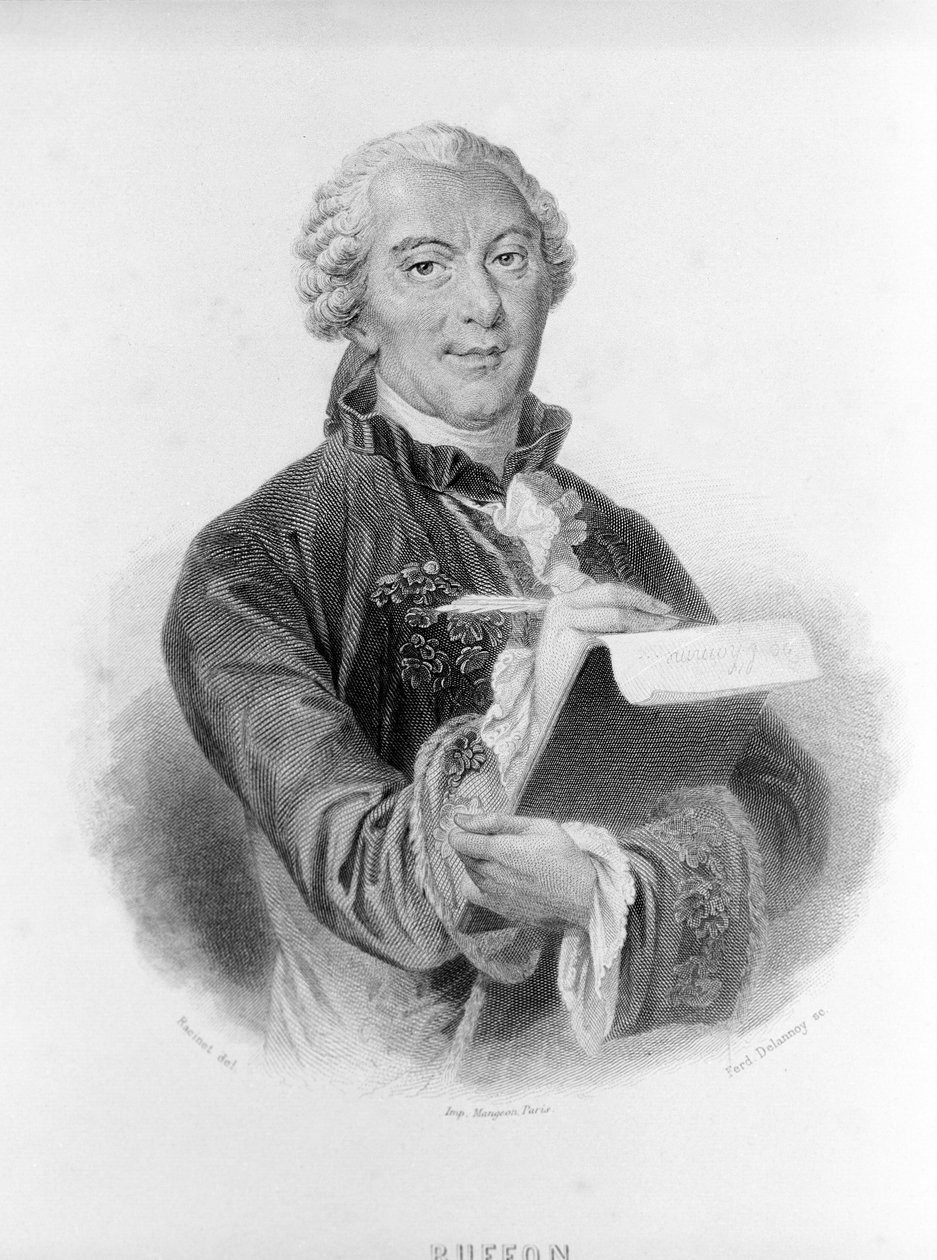 Portrait of Buffon (1707 - 1788), French naturalist and writer by Unknown artist