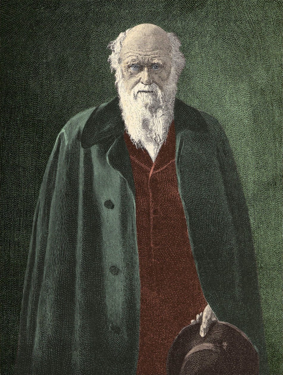 Portrait of Charles Darwin (1809 - 1882) by Unknown artist