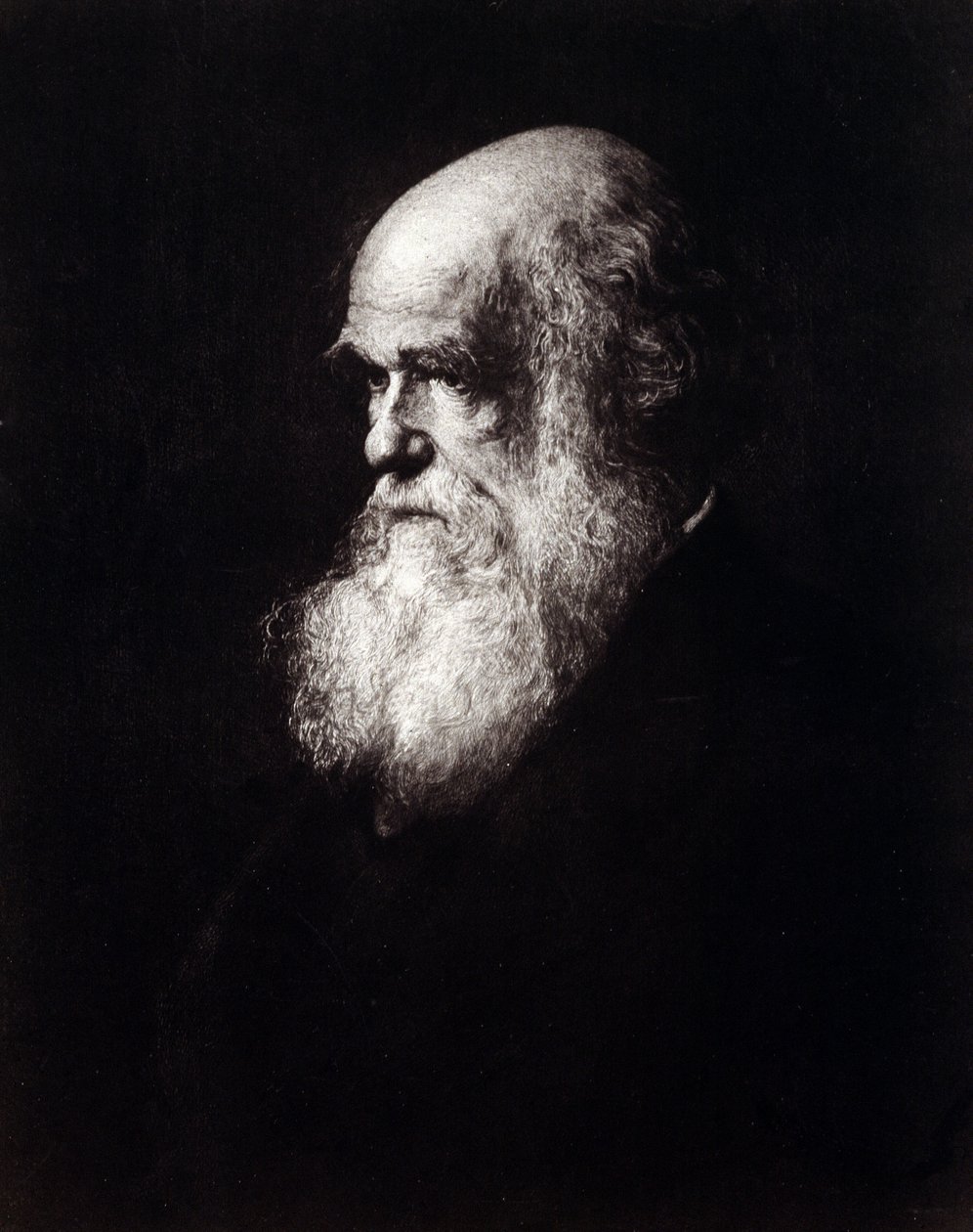 Portrait of Charles Robert Darwin (1809 - 1882) by Unknown artist