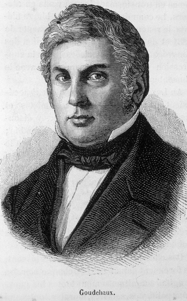 Portrait of Michel Goudchaux by Unknown artist