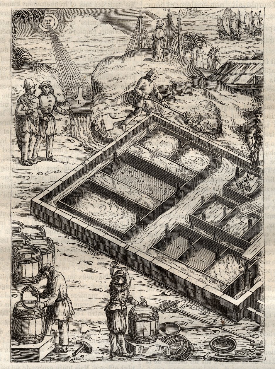Producing salt by evaporating sea water in salt pans. From 'De re ...