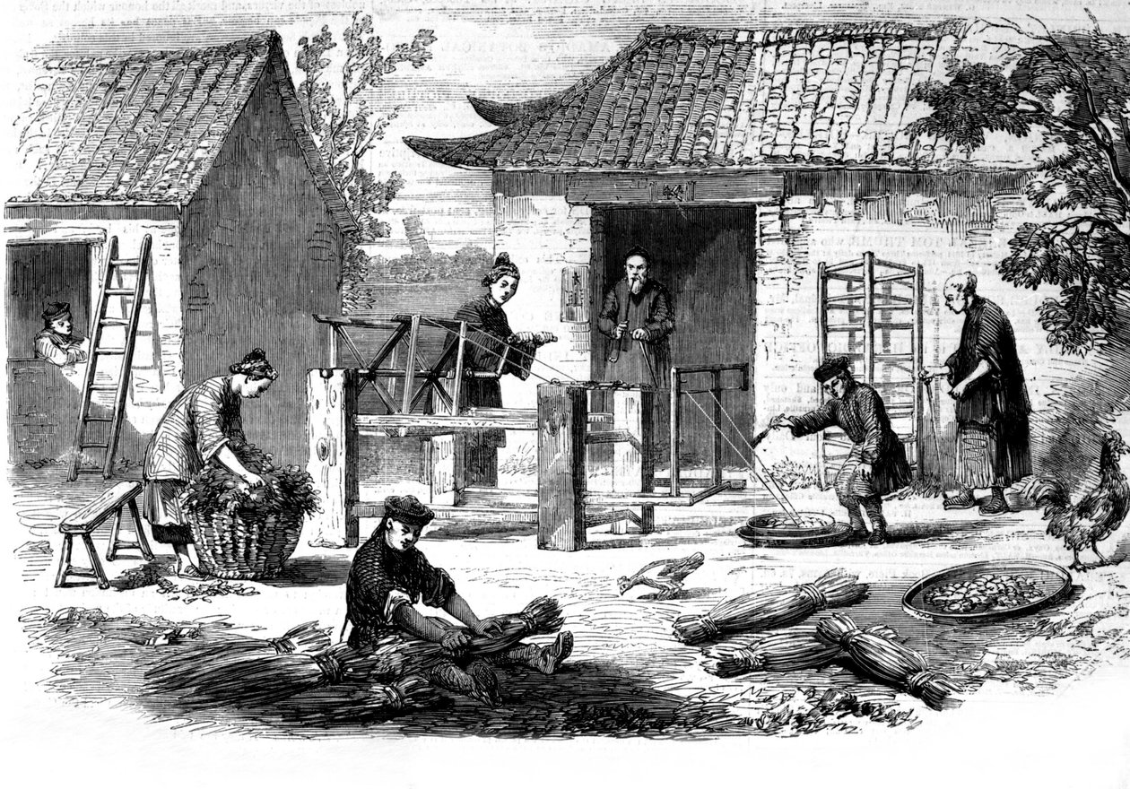 Production of silk in China and the various stages of manufacturing by Unknown artist