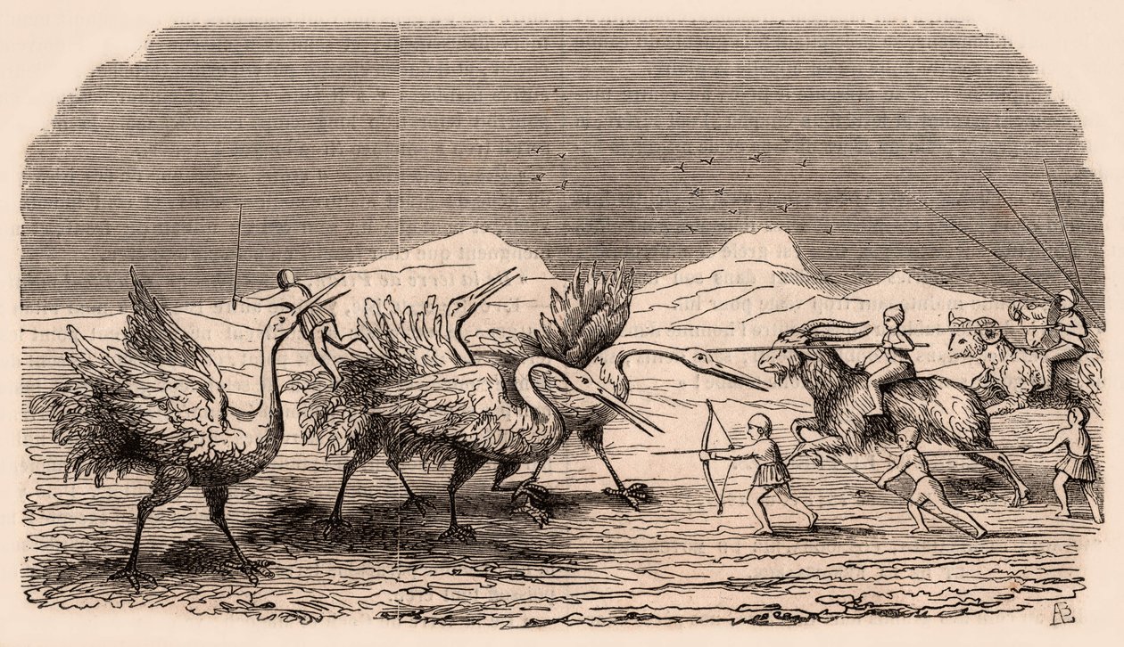Representation of medieval tribes and animal species: group of Pygmies fighting cranes by Unknown