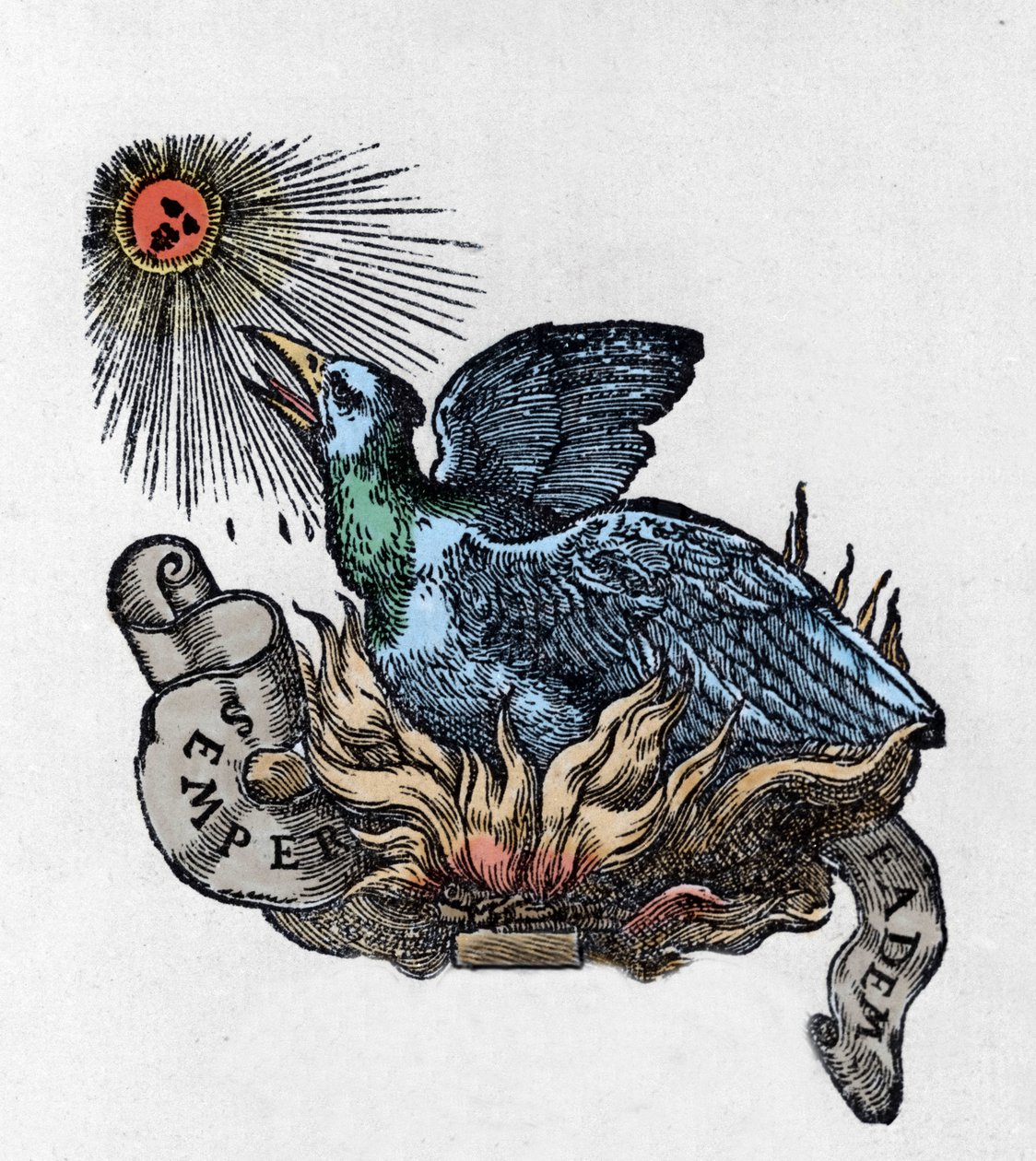 Representation of a Phoenix, Legendary Bird Reborn from Its Ashes. Engraving of the 19th Century by Unknown artist