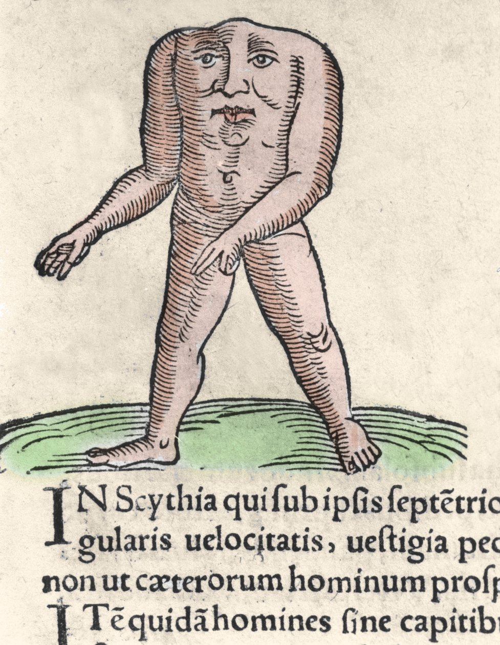 Representation of a member of the Blemmyi tribe in Nubia, described without a head, without a neck, and face on the trunk of Pliny the former. Engraving from 