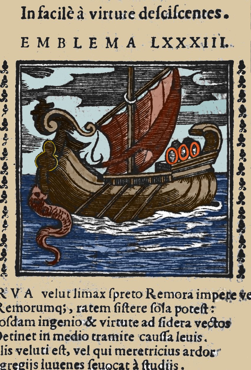 Representation of a Remora. Engraving from a 17th century Work by Unknown artist