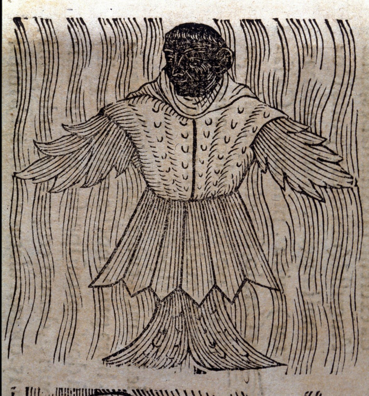 Representation of the sea monk, imaginary fish and marine monster. Engraving from 